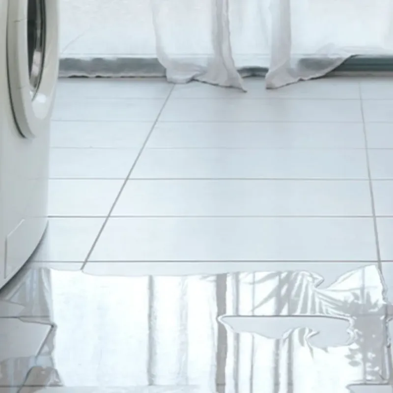 Appliance Leak Cleanup in Shenandoah, IA