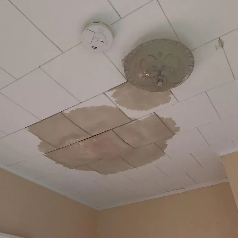 Ceiling Water Damage Repair in Shenandoah, IA