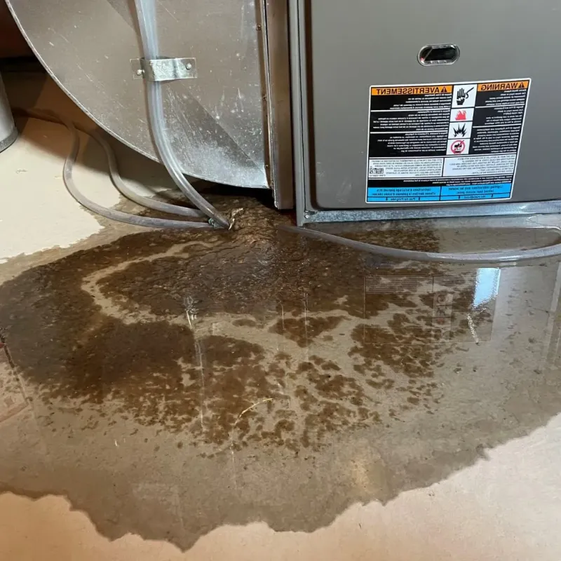 Pipe Burst and Leak Restoration in Shenandoah, IA