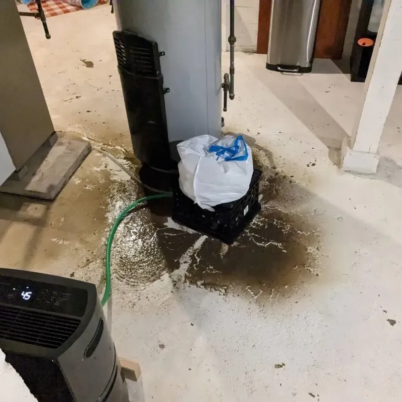 Sewage Backup Cleanup Service in Shenandoah, IA